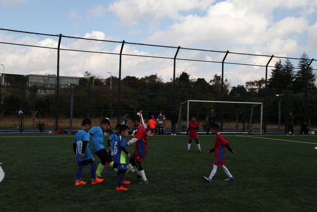 詹姆斯24+11布朗尼5分 湖人大胜送奇才16连败